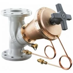 OVENTROP REGUL. DE PRES.DIFF. HYDROMAT DP ,BRIDES,DN65,200-1000mbar